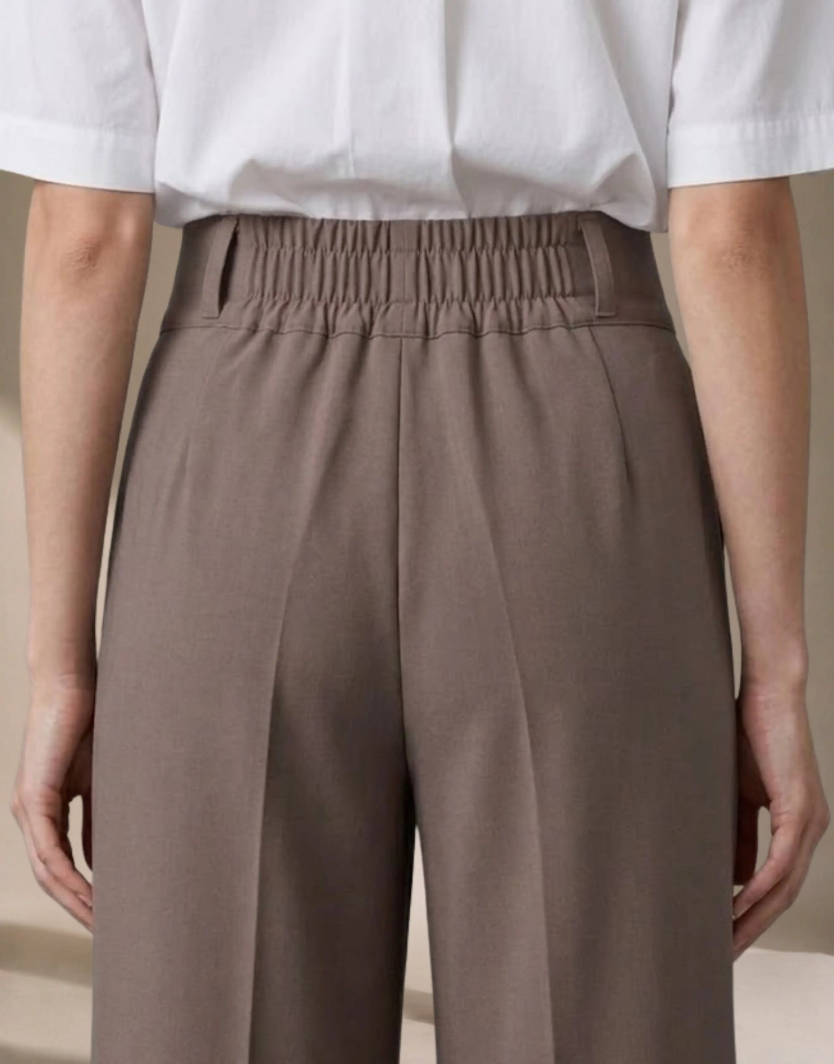 SGW Earth Brown Tailored Wide-Leg Pants with Elastic Back Belt